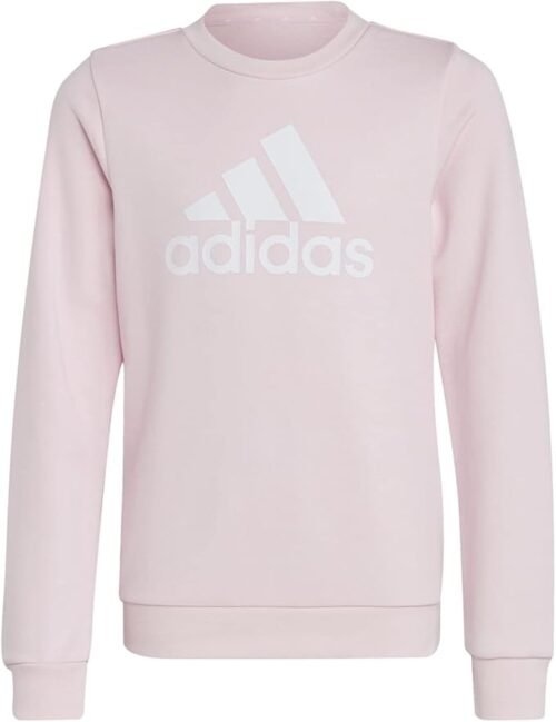 Sudadera Adidas Essentials Big Logo Cotton