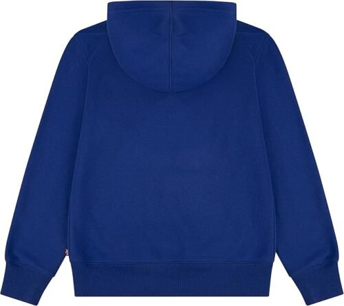 Sudadera Levi's Lvb Batwing Fill Hoodie - Imagen 3