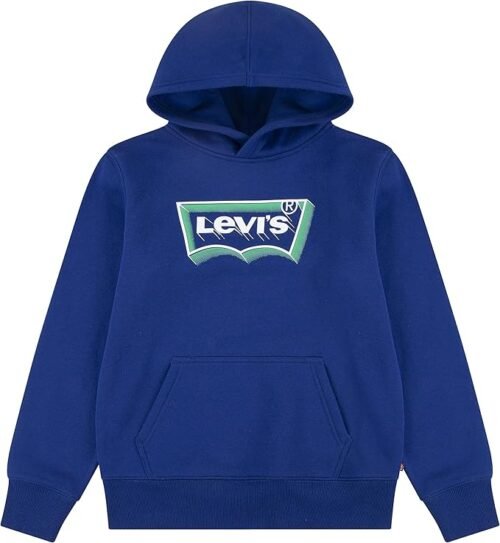 Sudadera Levi's Lvb Batwing Fill Hoodie